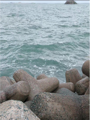 強風の中粘りの末のタケノコメバル