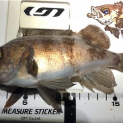 爆絶ウィンドライトゲーム