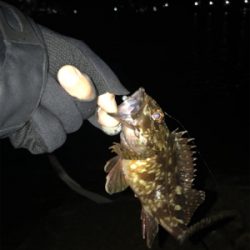 ガシリング  広畑埠頭(^.^)