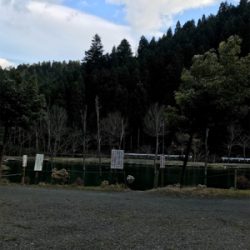 朽木渓流魚センター