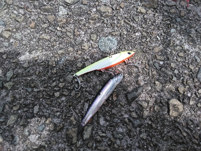 モンスターハント