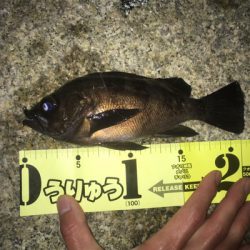 サーフメバリング☆GUNNING-STYLEメンバー