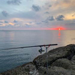 3ヶ月振りの釣り！