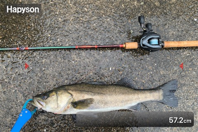 ラストチャンスで♫