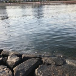 釣り馬鹿日和2日目