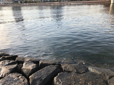 釣り馬鹿日和2日目