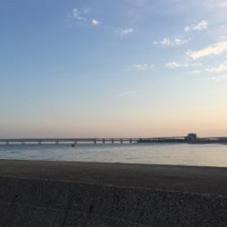 まったり夜釣り