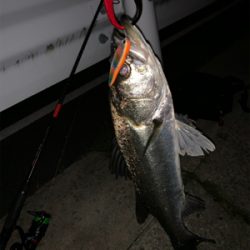 いつもの場所で