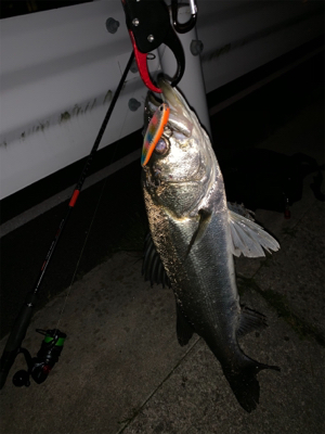 いつもの場所で