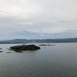 イワシでノマセ釣り