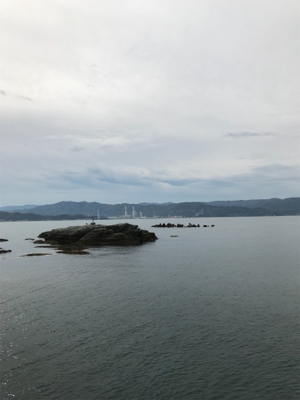 イワシでノマセ釣り