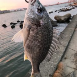 黄チニング上達しました