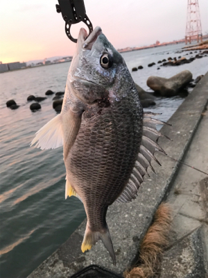 黄チニング上達しました