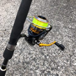 逃げのメバリング