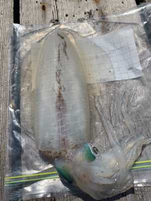 久しぶりのご対面