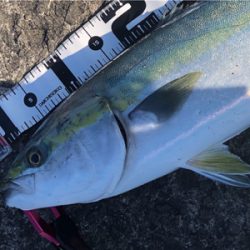 絶好の釣り日和だから…期待大❗️