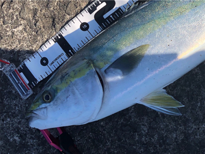 絶好の釣り日和だから…期待大❗️