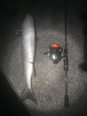 プラッキングボラ