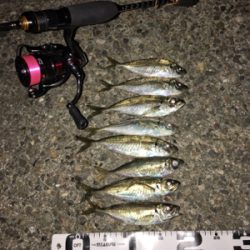 ナイトアジング