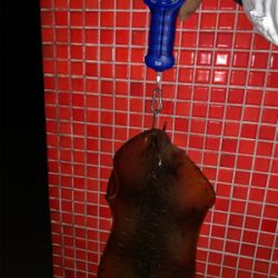 春イカを求めて