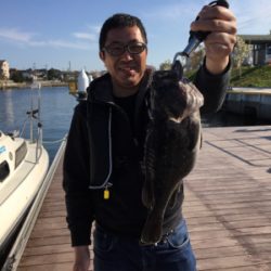 SFC プライベートボートで仙台湾五目釣り