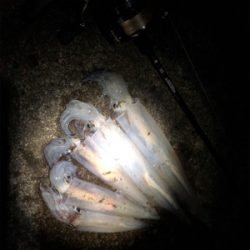 決戦は金曜日!!