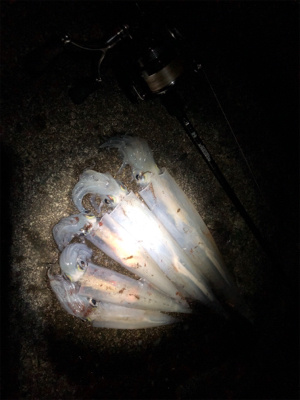 決戦は金曜日!!