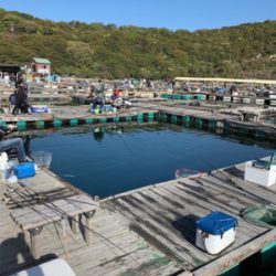 家島釣堀水宝さんにて
