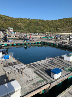 家島釣堀水宝さんにて