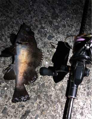 続大潮メバメバナイト