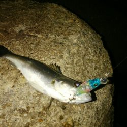 プラッギングゲーム