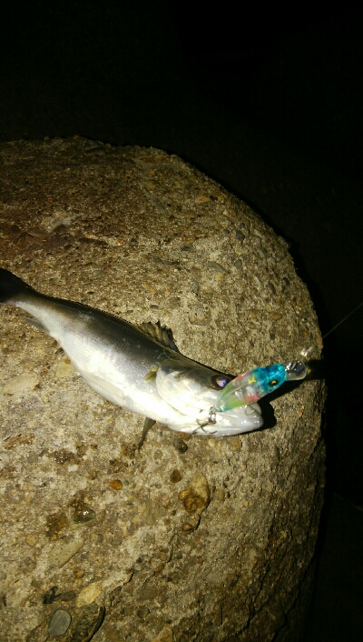 プラッギングゲーム