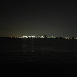 シーバスのはずが