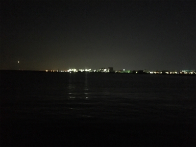 シーバスのはずが