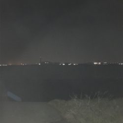 釣れてますよ！