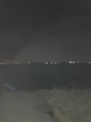 釣れてますよ！