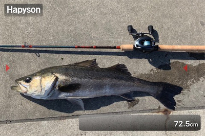 丸呑み、サイズアーップ♫