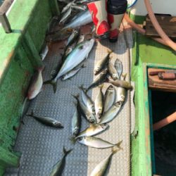孝洋丸アジ釣り