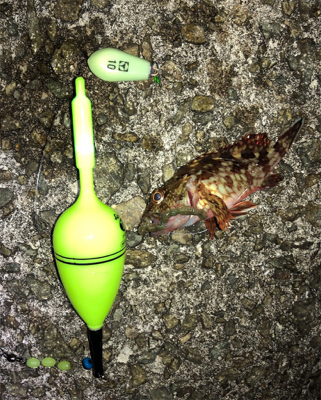 青物不発でも何とかボーズのがれ^ ^