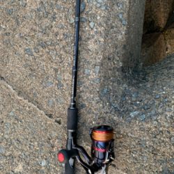 アオリイカ釣果!