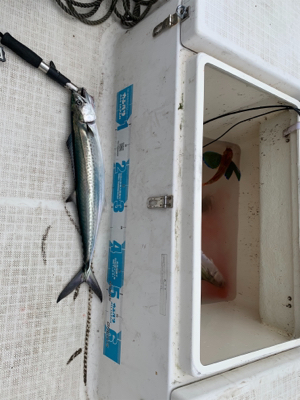 2時間ちょいの短時間釣行