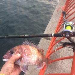 平磯も三度目の正直