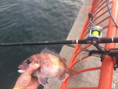 平磯も三度目の正直