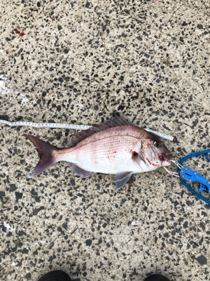 上五島釣行  記録更新♪
