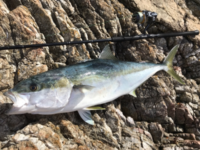 春のロックショア