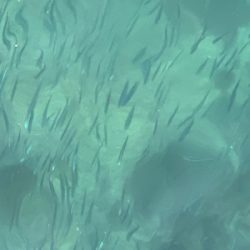 活気がでてきました。