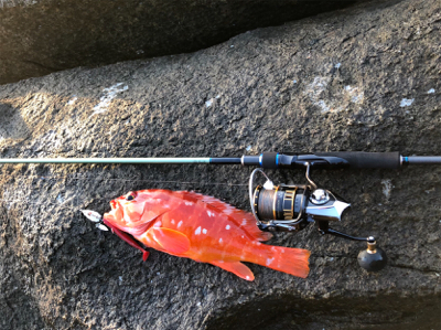 弁天ライトロックフィッシュゲーム