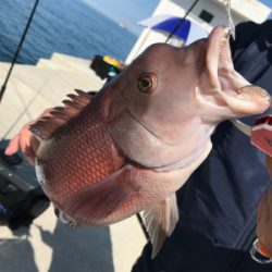 4ヶ月ぶりに太刀魚に出会えました♪