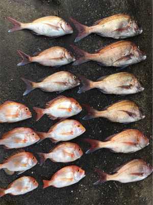 クーラー満タン（＾∇＾）