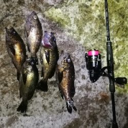 苦手なパターン